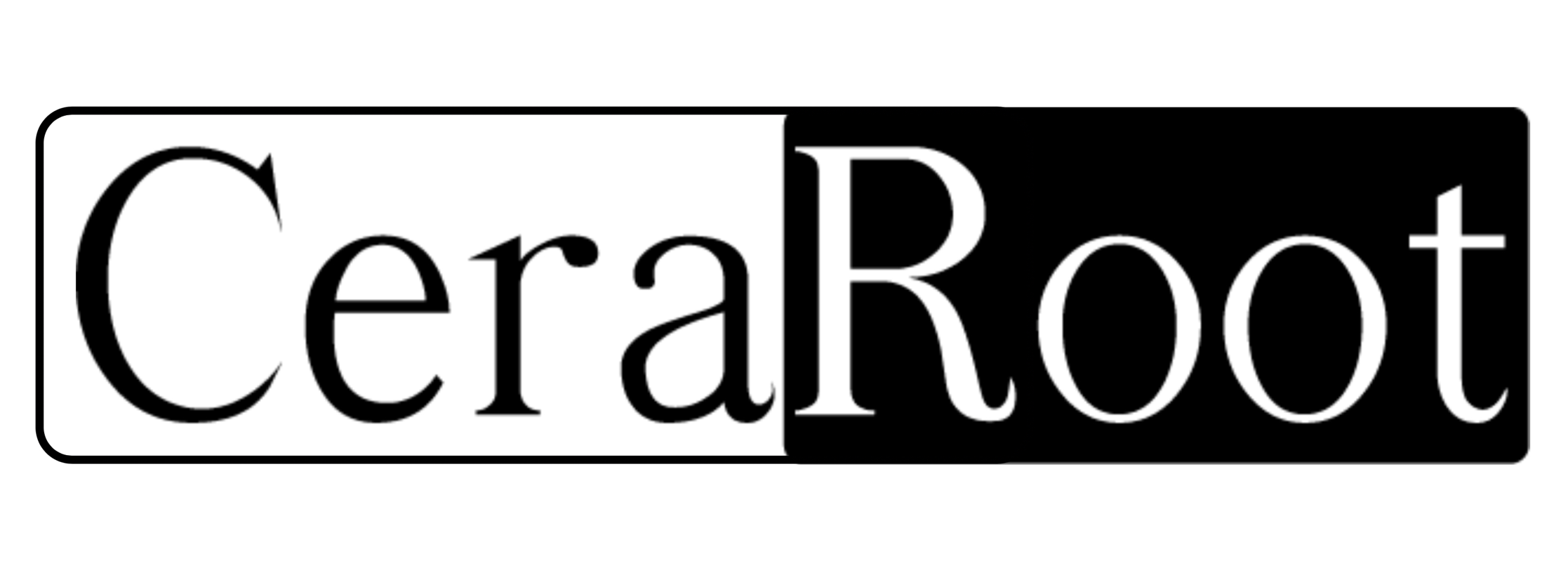 Zirconia Ceramic Dental Implants